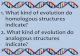 1.What kind of evolution do homologous structures indicate ... ¢â‚¬¢Homologous ¢â‚¬¢ Divergent evolution: