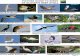 PICTURE GUIDE TO BIRDS OF GLOVER S REEF ATOLL Reef Bird... · 2018-07-29 · BROWN BOOBY Sula leucogaster RED-FOOTED BOOBY Sula sula Sheep81 Patrick Coin Matt Edmonds Balabiot DOUBLE-CRESTED