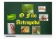O Filo Artropodaprofmueller.net/material/biologia/taxonomia/artropodes.pdf · O Filo Artropoda Classificação. Características Gerais Os artrópodes caracterizam-se por terem: Exoesqueleto