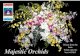 Majestic Orchids Pty Ltd You can only buy Majestic Orchid ... · PDF file Majestic Orchids can prepare orchid bouquets, orchid confetti or orchid stem gifts with a personalized message