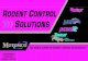 RODENT CONTROL SOLUTIONS - Motomco RODENT CONTROL. To prevent resistance in areas with high rodent populations,