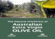 © 2007 Rural Industries Research and Development · Australian olive oils are almost entirely extra virgin olive oil with little refining being carried out. Some oils actually surpass