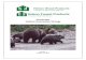 Grizzly Bear SCS - Alberta FILE/grizzlybear-scs.pdf Figure 2 – Grizzly bear “Bear Management Areas” in Alberta, Canada (AESRD 2013) The grizzly bear is a habitat generalist that