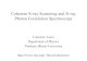 Coherent X-ray Scattering and X-ray Photon Correlation ... 10 - Coherent X- · PDF file Photon Correlation Spectroscopy Laurence Lurio Department of Physics. ... Typical applications