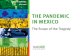 THE PANDEMIC IN MEXICO ... VITAL SIGNS (SIGNOS VITALES) is a non-profit, non governmental organization that is structured by a Board composed by citizens with an outstanding track