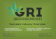 Cannabis Industry Overvie · 11/6/2017  · Cannabis Industry Overview Green Rush Insights 3201-C Zafarano Drive, PMB 292 ... • Overall, 51% reported they would vote yes for recreational