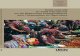 Guide explicatif du Traité International sur les ... · PDF file iii Guide explicatif du Traité International sur les Ressources Phytogénétiques pour l’Alimentation et l’Agriculture