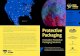 Equipment and Automation Protective Packaging · PDF file Protective Packaging Innovative Protective Packaging Solutions Victory Packaging provides innovative packaging solutions that