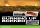 HOW PALM OIL SUPPLIERS ARE BURNING UP BORNEOarchivo-es.greenpeace.org/.../espana/report/other/quemando-borneo … · Borneo’.11 As it stands, Unilever suppliers are driving species