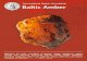 International Amber Association Baltic Amber · made of Baltic amber pieces pressed in high temperature and under high pressure without additional components. Bonded Baltic amber