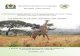 THE UNITED REPUBLIC OF TANZANIA NATIONAL AUDIT OFFICE · PDF file TANAPA Tanzania National Parks TAWIRI Tanzania Wildlife Research Institute TISS Tanzania Intelligence and Security