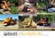 STUMP GRINDERS • ATTACHMENTS • WHOLE TREE CHIPPERS - Global … · 2020. 4. 24. · XPC-SERIES CHIPPERS. 12” capacity (12XPC) or 15” capacity (15XPC) Bandit XPC chippers are