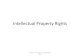 New Intellectual Property Rights · PDF file 2018. 9. 24. · Intellectual Property Rights CS4031 Introduction to Digital Media 2018. Intellectual Property Rights • Intellectual