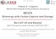 WP AC1 Pilot Testing & Combined Systems and Capture BECCS · 2017. 9. 19. · BECCS Bioenergy with Carbon Capture and Storage Bio-CAP-UK and Beyond BECCS Research Under the New UKCCSRC-2017