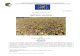 Pest Risk Analysis for Salvinia molesta · Salvinia molesta has already been reported as introduced, with transient populations in space and time in Austria, Belgium, , France (Corsica