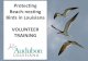 Protecting Beach-nesting Birds in Louisiana VOLUNTEER TRAINING · PDF file 2019. 12. 19. · •Beach-nesting birds •Colonial nesting versus solitary nesting . Wading Birds: Herons,