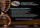 OneSwab - Medical Diagnostic Laboratories LLCmdlab.com › forms › Flyers › Advantages_Flyer.pdf111 Trichomonas vaginalis (♦Reflex to Metronidazole Resistance) 178 Ureaplasma