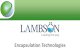 Encapsulation Technologies - Lambson Ltd€¦ · Encapsulation material Gelatine + Gum Arabic Melamine Formaldehyde, Urea Formaldehyde Lipids/ waxes, gelatine Alginate, agar % loading