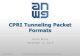 CPRI Tunneling Packet CPRI Tunneling Packet Formats. Tunneling Encoding Presentation purpose: â€“Provide