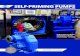 CORNELL PUMP COMPANY SELF-PRIMING PUMPScornell pump company stx, stl & sth series industry leading efficiency with ... family map: cornell: self-priming pump curves: 0 50 100 150 200