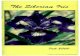 ?aB, - Siberian Irises
