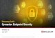 Discovery Guide Symantec Endpoint Security