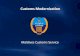 Customs Modernization - World Customs Organization