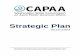 CAPAA 2019-2022 Strategic Plan