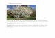 1) Blackthorn, Prunus spinosa - Waltham Forest