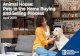Animal House: Pets in the Home Buying and Selling Process