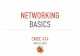 NETWORKING BASICS - UMD