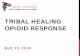 TRIBAL HEALING OPIOID RESPONSE - NIHB