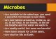 MICROBES - Weebly