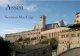 Assisi - LT Scotland