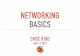 NETWORKING BASICS - cs.umd.edu