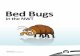 Bed Bugs - Gov