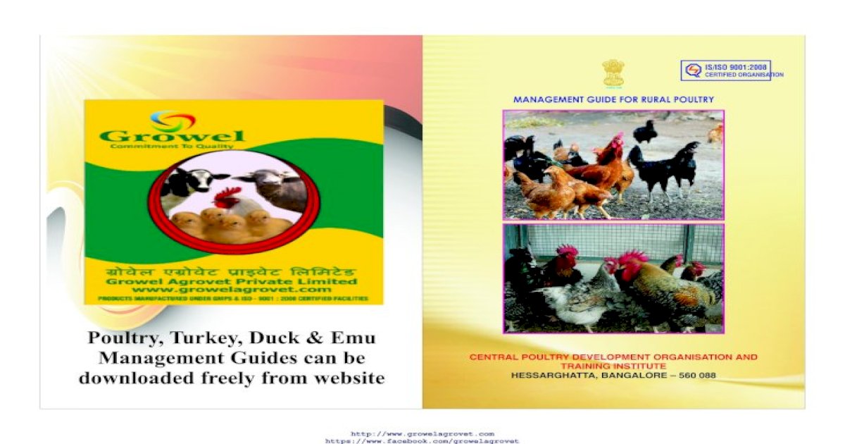 download business plan for poultry farm pdf