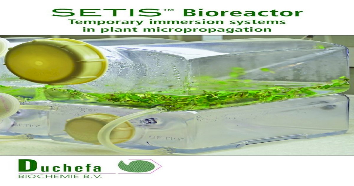 SETIS™ Bioreactor Gold Biotechnology .The bioreactor includes