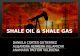 Shale Oil & Shale Gas