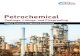 Petrochemical -   Protection for Aggressive Environments Petrochemical Coatings, Linings, and Fireproofing