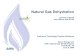 Natural Gas Dehydration - Van Air Systems Natural Gas Dehydration Lessons Learned from Natural Gas STAR