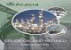 PRODUCTS CRUDE OIL AND REFINED - Acacia oil majors and national oil companies (NOCs). Acacia offtakes crude oil from producers of all sizes and manages its trading, storage and supply