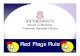 Red Flags Rule - University of South Flags Rule Training PPT   Flags Rule Agenda: â€“ What