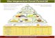 Vegetarian Food Pyramid - home - V7 .The Vegetarian Food Pyramid Guidelines for Healthful Vegetarian