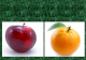 apples oranges Prompt: Analyze the similarities and differences between apples & oranges
