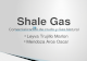 Shale Gas Final