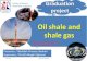 Oil shale&shale gas