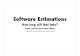 Software estimations