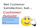 Delighting customer-importance-method