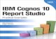IBM®Cognos®10 Report Studio: Practical Examples